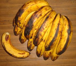 Overripe_lacatan_bananas